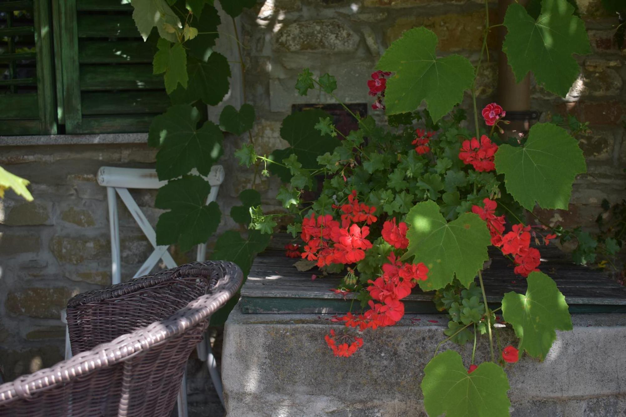 Barbara'S Village House Ilirska Bistrica Exterior foto