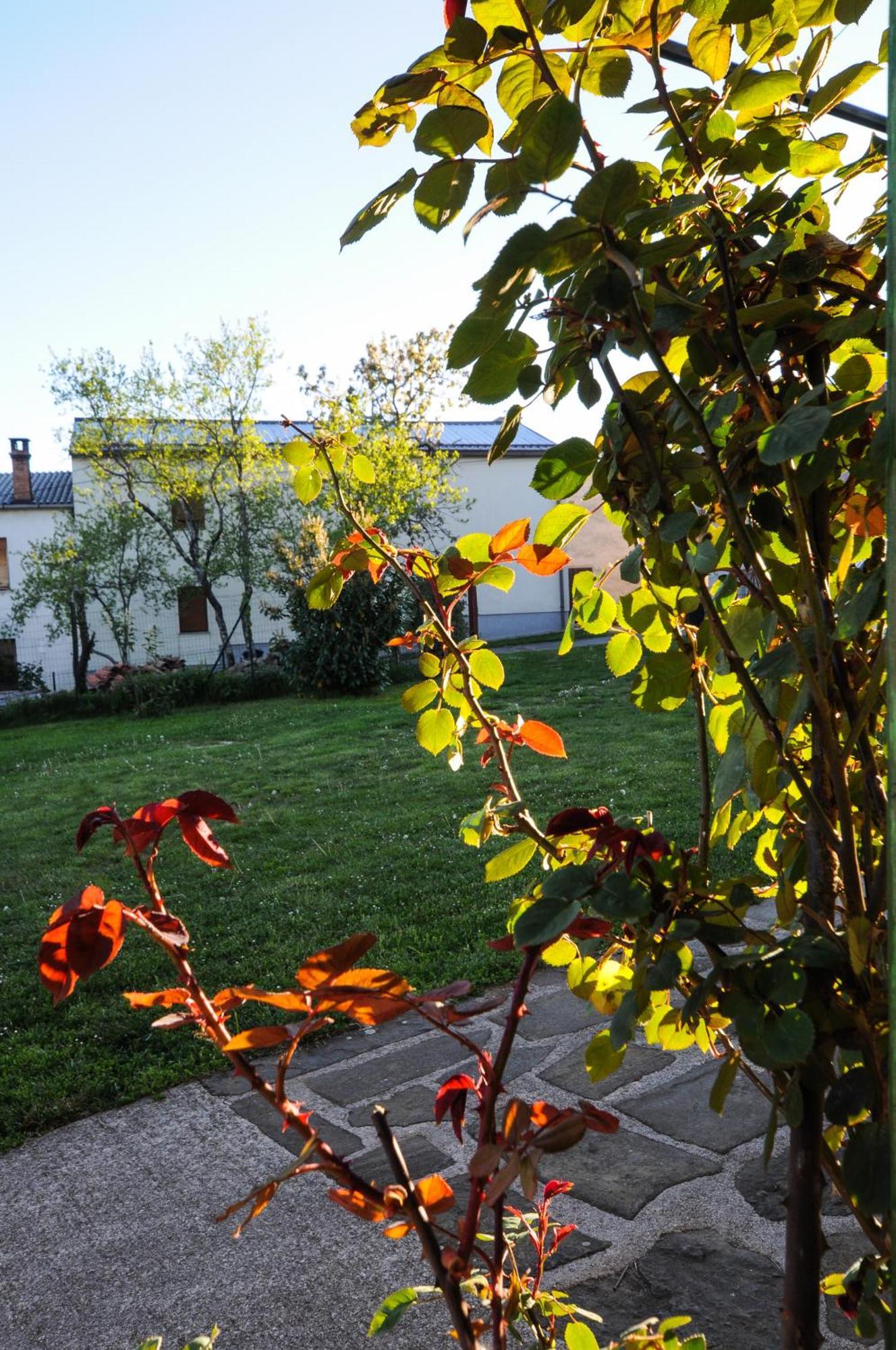 Barbara'S Village House Ilirska Bistrica Exterior foto